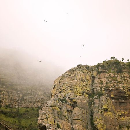 Cape Vulture Conservancy Hoedspruit Εξωτερικό φωτογραφία