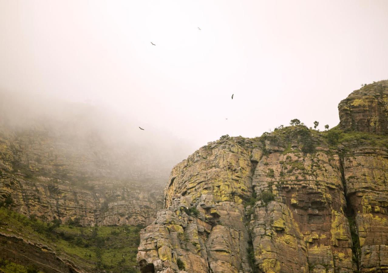 Cape Vulture Conservancy Hoedspruit Εξωτερικό φωτογραφία